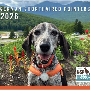 2026 GSP Rescue Calendars